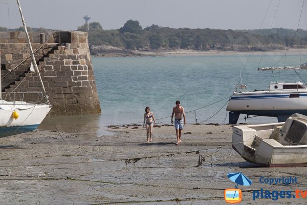 Baignade à proximité du port du Chatelet