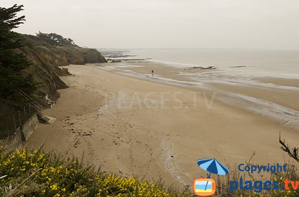 Photo de la plage du Chatelet à St Michel Chef Chef