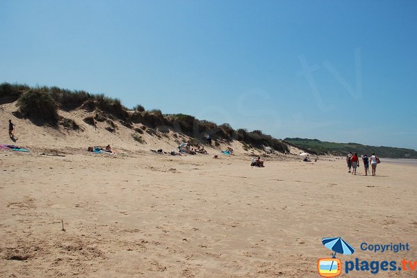 Dunes sur la plage de Tardinghen