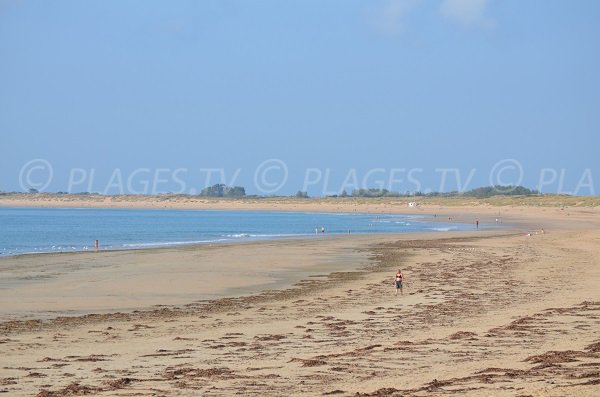 Chaucre beach in Oleron island - France