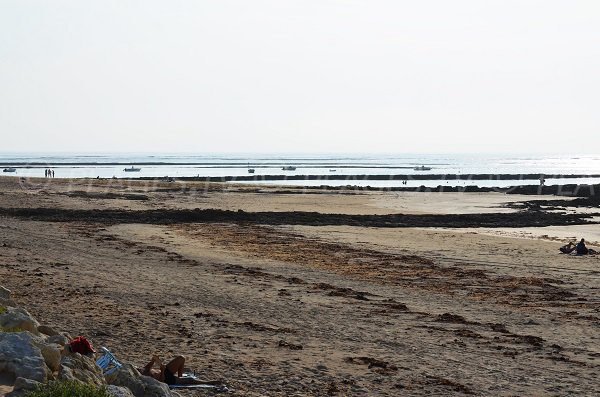 Beach of Chaucre tip - Oleron island