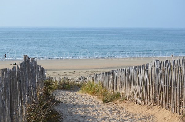 Access to the Chaucre beach - Oleron in France