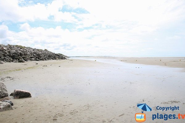 Plage du chemin des Bateaux - partie sud - Camiers