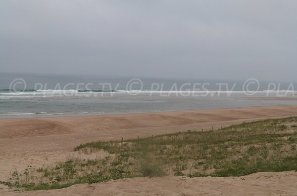 Wild beach in Moliets et Maa - France