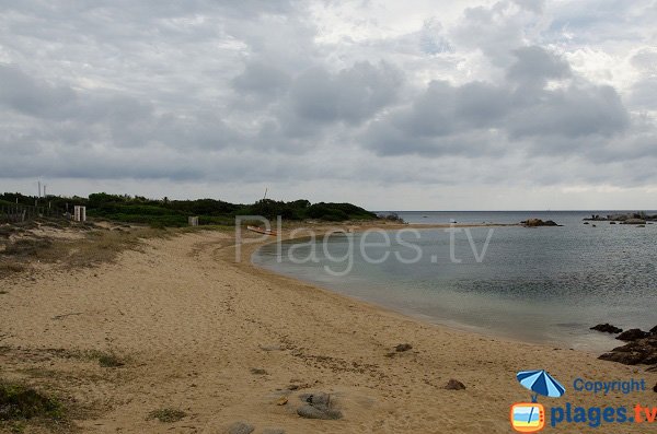 Spiaggia di Chevanu  - Caldarello