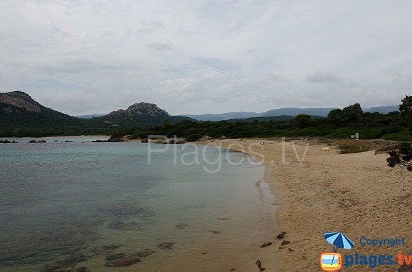 Beach of Chevanu - Pianottoli