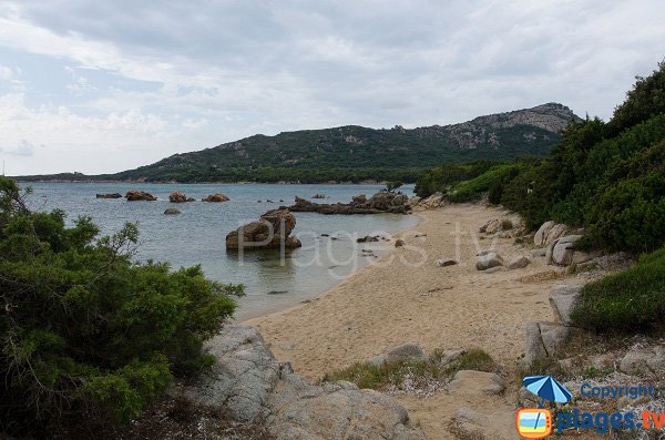 Cove of Chevanu in Corsica