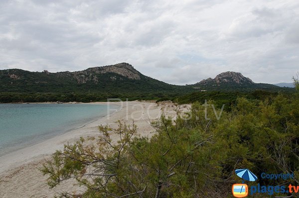 Large beach in south Corsica - Chevanu