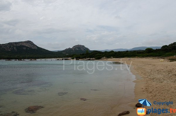 Foto della spiaggia di Chevanu in Corsica