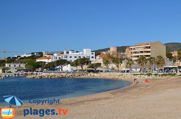 Photo de la plage pour chiens de La Ciotat