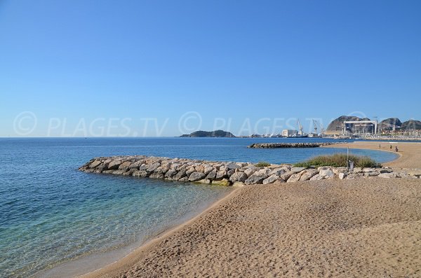 Spiaggia per i cani a La Ciotat - Francia