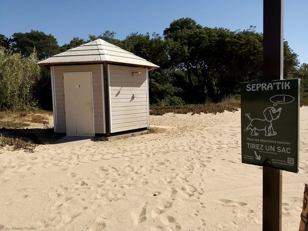 Sanitäre Anlagen am Strand für Hunde - La Croix Valmer