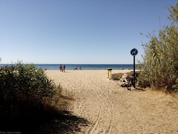 Dog beach in La Croix Valmer