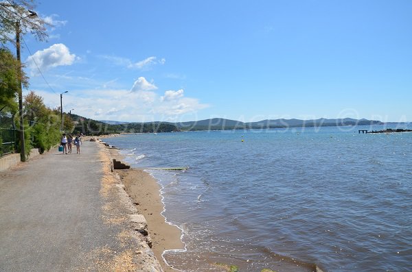 Photo of dog friendly beach in La Londe les Maures in France