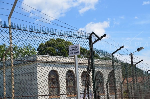 Plage autorisée aux chiens en face du batiment militaire à La Londe