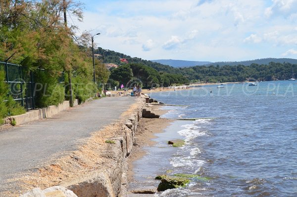 Dogs friendly beach in La Londe les Maures in France