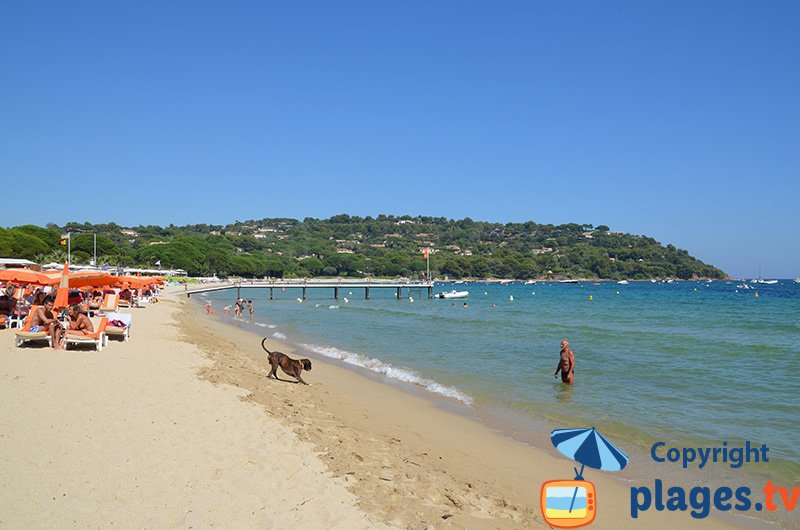 Plage pour les chiens dans le Var - Ramatuelle