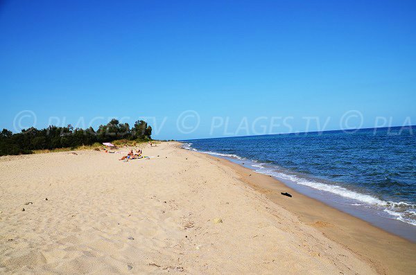 Photo de la plage de Chiola au nord - Solaro