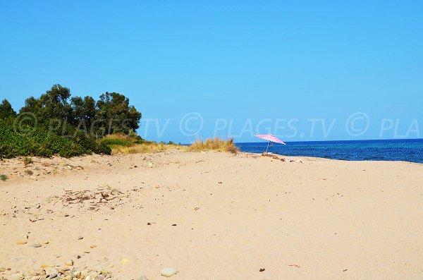 Plage sauvage au niveau de la plage de Chiola