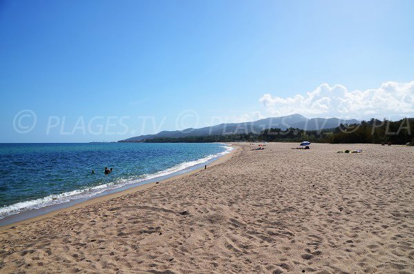 Foto della spiaggia di Chiola in Corsica - Solaro