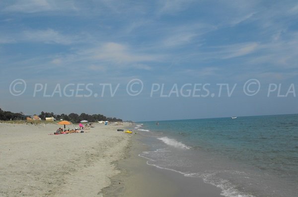 Wild beach in Corsica of the East Coast - Linguizzetta