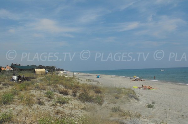 Spiaggia sono completamente selvaggi Linguizzetta Corsica