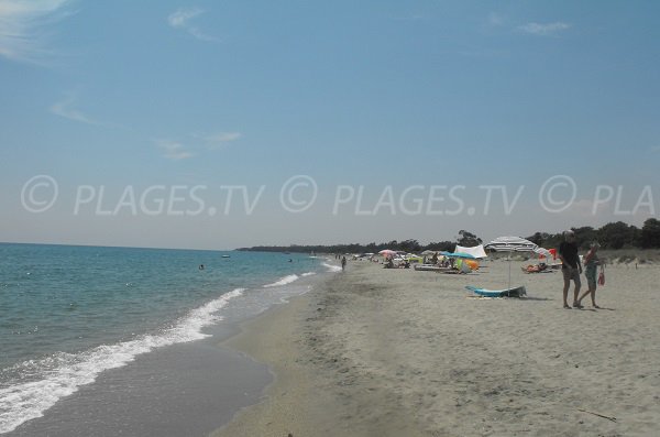 Grande plage de sable à Linguizzetta