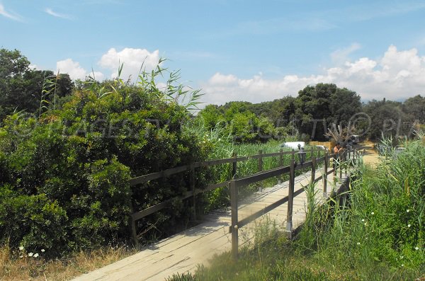 Access to the Chiosura beach - Corsica