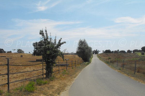 Route d'accès à la plage de Chiosura