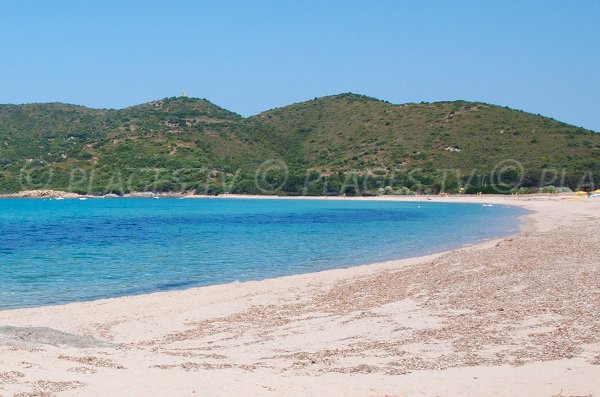 Spiaggia di sabbia a nord di Cargèse in Corsica - Chiuni