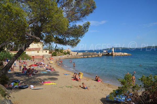 Plage ombragée à Grimaud - Les Cigales