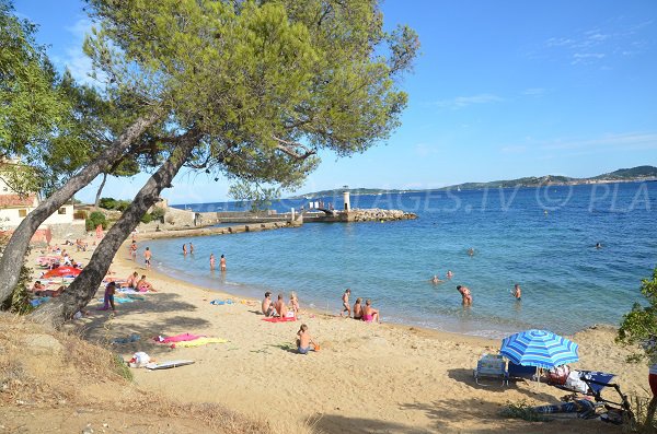 Foto della spiaggia delle Cigales in estate a port-Grimaud