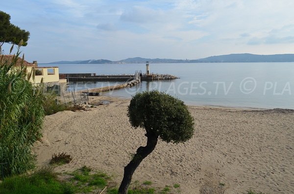 Plage des Cigales à Port Grimaud