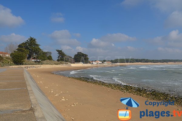 Beach of Clémenceau - St Vincent sur Jard