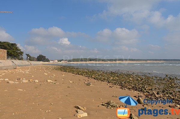 Beach next to the house Clémenceau - St Vincent sur Jard