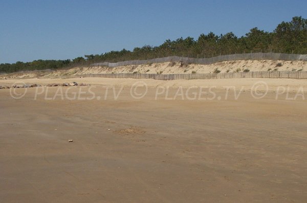 Dunes of Clémenceau beach in La Tranche sur Mer - France