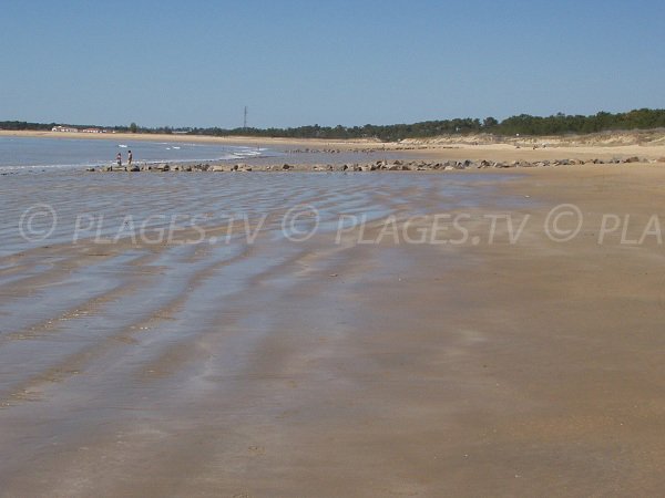 Plage Clémenceau à La Tranche sur Mer