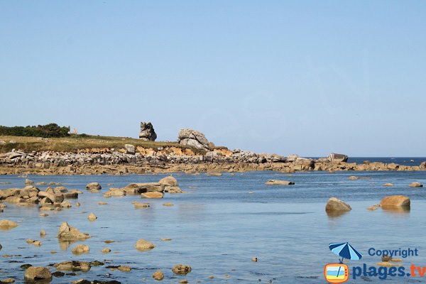 Environnement de la plage du Click - Plouescat