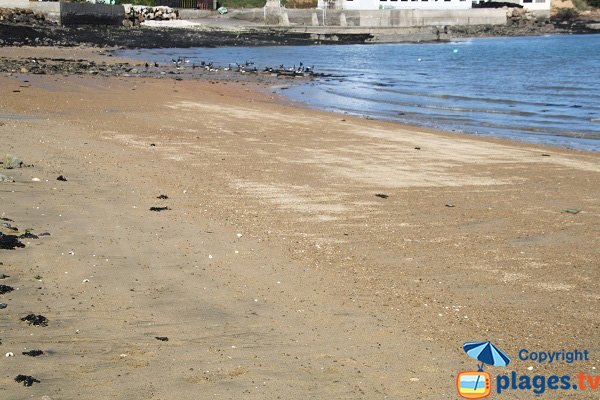 Zone gauche de la plage du Clouet