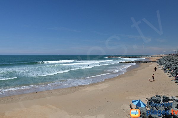 Surfeurs sur la plage d'Anglet - le Club