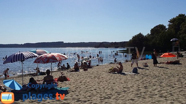 Plage au bord du lac du Léon dans les Landes