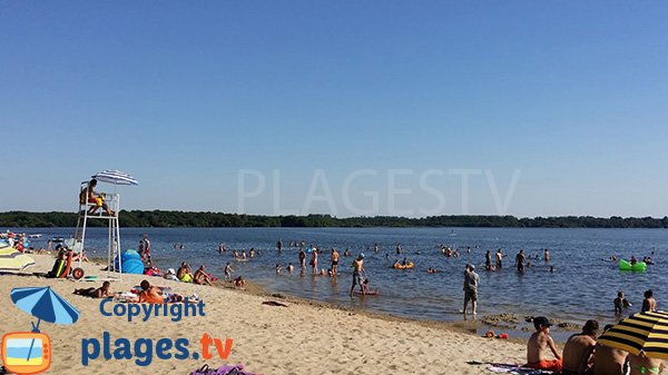 Plage surveillée le long du lac du Leon - Landes