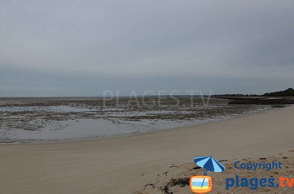 Baignade sur la plage du Collet à Les Moutiers-en-Retz