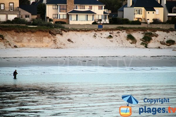 Dune de la plage des Colons - Porspoder