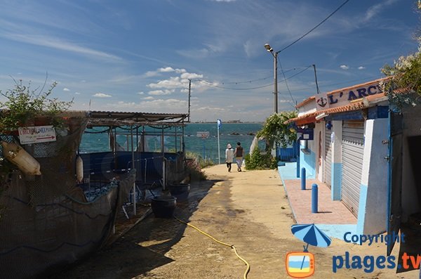 Restaurants autour de la plage des Combattants - Port le Bouc