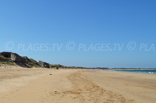 Dunes de la plage des Baleines à St Clément les Baleines