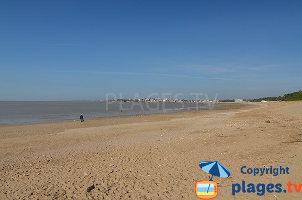 Untamed beach in Saint Georges de Didonne