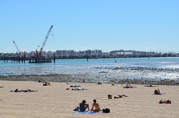 Plage de la Concurrence à marée basse