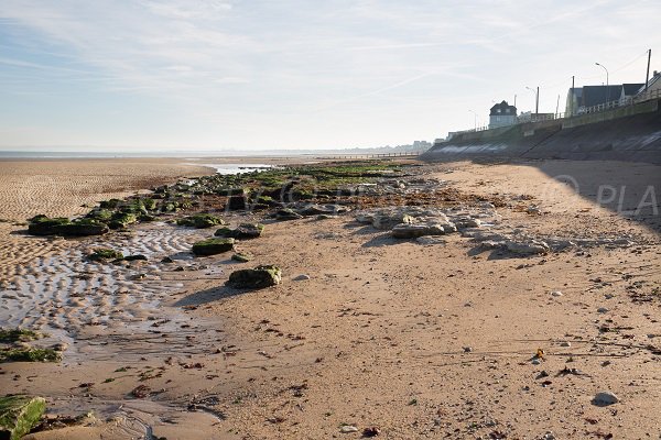 Plage entre Lion sur Mer et la falaise des Confessionnaux