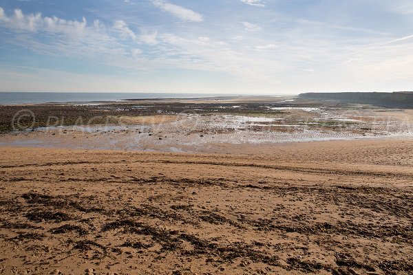 Photo de la plage au niveau de la falaise des Confessionnaux au Lion sur Mer